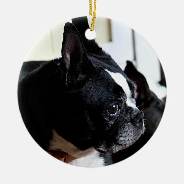 Boston terrier julgransprydnad keramik (Framsidan)