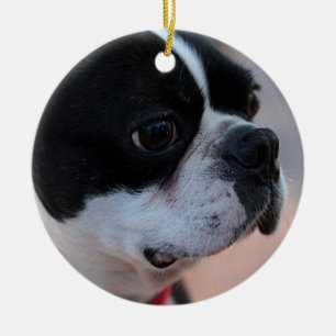 Boston terrier julgransprydnad keramik