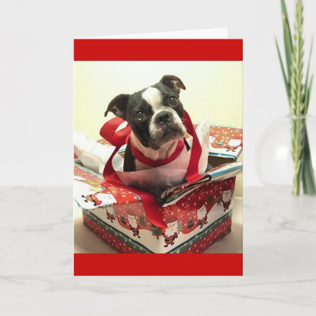 Boston Terrier Julklapp Card Helgkort (Framsida)
