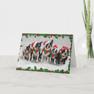 Boston Terrier-julkort Helgkort