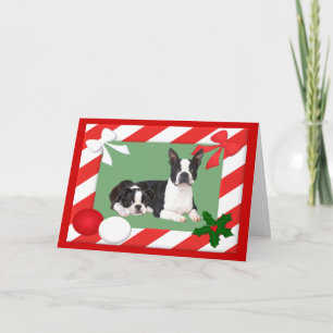 Boston Terrier-julkort Ram Helgkort