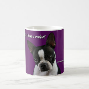 Boston Terrier: Kakan behar? Kaffemugg