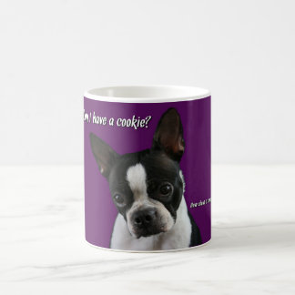 Boston Terrier:  Kakan behar? Kaffemugg