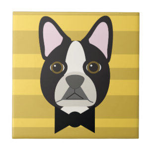 Boston Terrier Kakelplatta