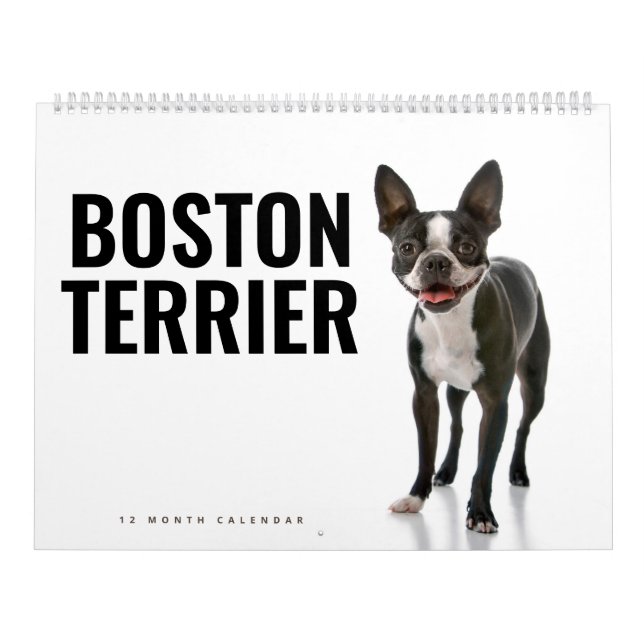 Boston Terrier Kalender (Omslag)