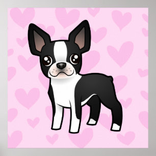 Boston Terrier Kärlek Poster