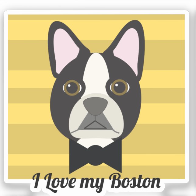 Boston Terrier Klistermärken (Framsida)