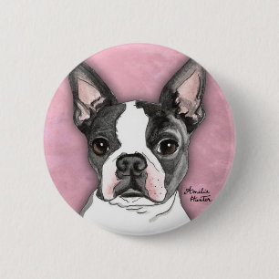 Boston Terrier Knapp