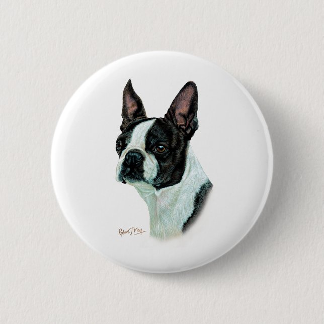 Boston Terrier Knapp (Framsida)