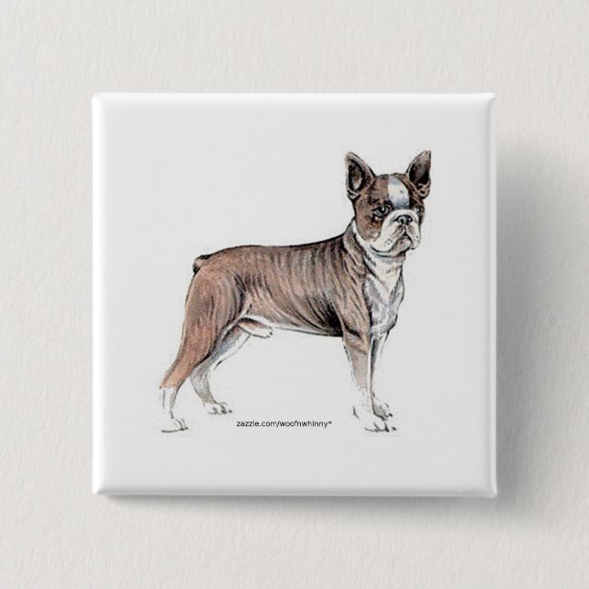 Boston Terrier Knapp (Framsida)
