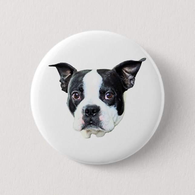 Boston Terrier Knapp (Framsida)