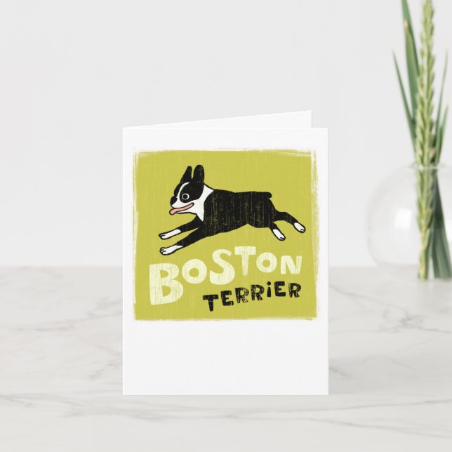 Boston Terrier Kort (Framsida)
