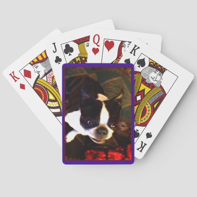 Boston Terrier-kort Casinokort (Baksidan)