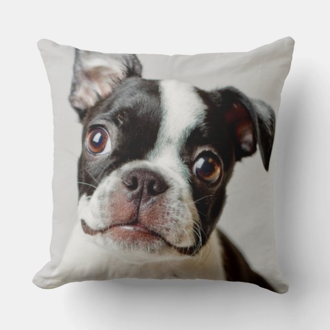 Boston Terrier Kudde (Framsida)
