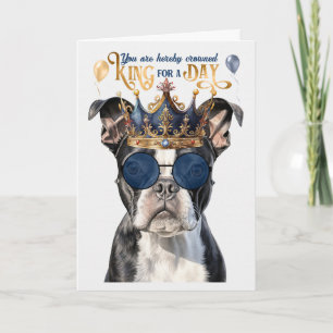 Boston Terrier Kung för en daglig nyfödd Kort