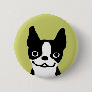 Boston Terrier-leende Knapp