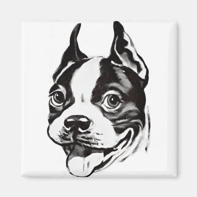 Boston Terrier Magnet (Framsidan)