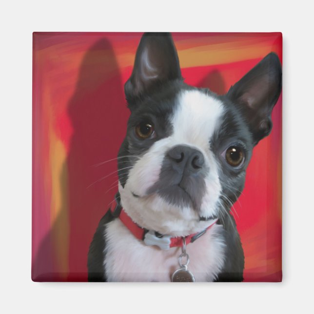 Boston Terrier Magnet (Framsidan)