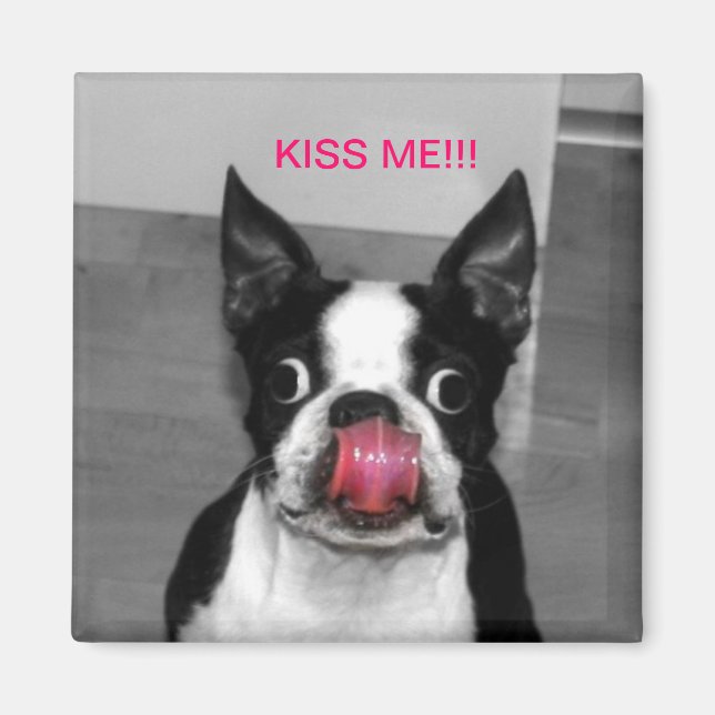BOSTON TERRIER MAGNET (Framsidan)