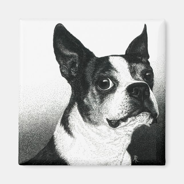 Boston Terrier Magnet - Boston Stil (Framsidan)