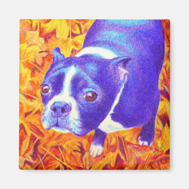 Boston Terrier Magnet - "Daisy (Framsidan)