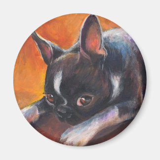 Boston Terrier-målare hund Svetlana Novikova Magnet