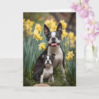 Boston Terrier Mamma Morsdags kärlek Kort