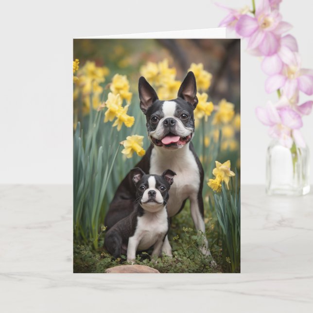 Boston Terrier Mamma Morsdags kärlek Kort (Orkide)
