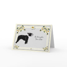 Boston Terrier med Dogwoodsympati