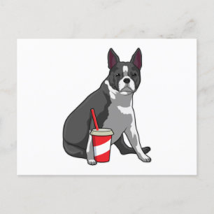 Boston Terrier med dryck Vykort
