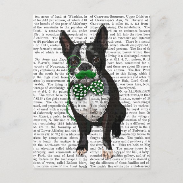 Boston Terrier med Grönt Mustache och Spole Vykort (Framsida)