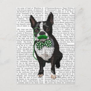 Boston Terrier med Grönt Mustache och Spole Vykort