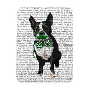 Boston Terrier med Grönt Mustache och Spotty Magnet