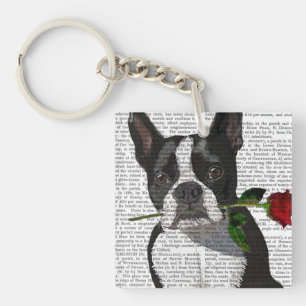 Boston Terrier med Ro i Mouth