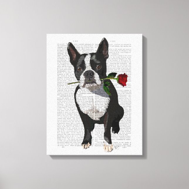 Boston Terrier med Ro i Mouth Canvastryck (Framsida)