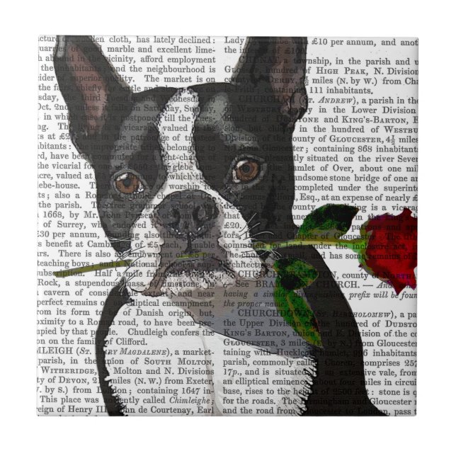 Boston Terrier med Ro i Mouth Kakelplatta (Framsidan)