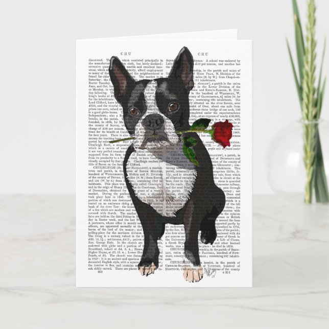 Boston Terrier med Ro i Mouth Kort (Framsida)