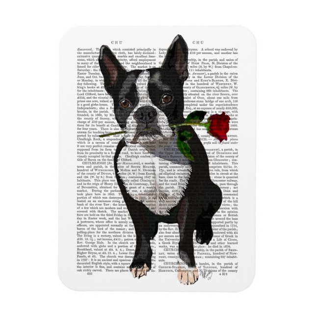 Boston Terrier med Ro i Mouth Magnet (Vertikal)
