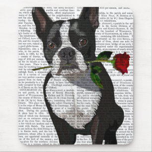 Boston Terrier med Ro i Mouth Musmatta
