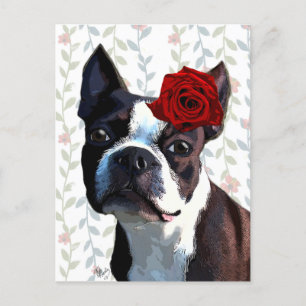 Boston Terrier med Ro på Head 2 Vykort