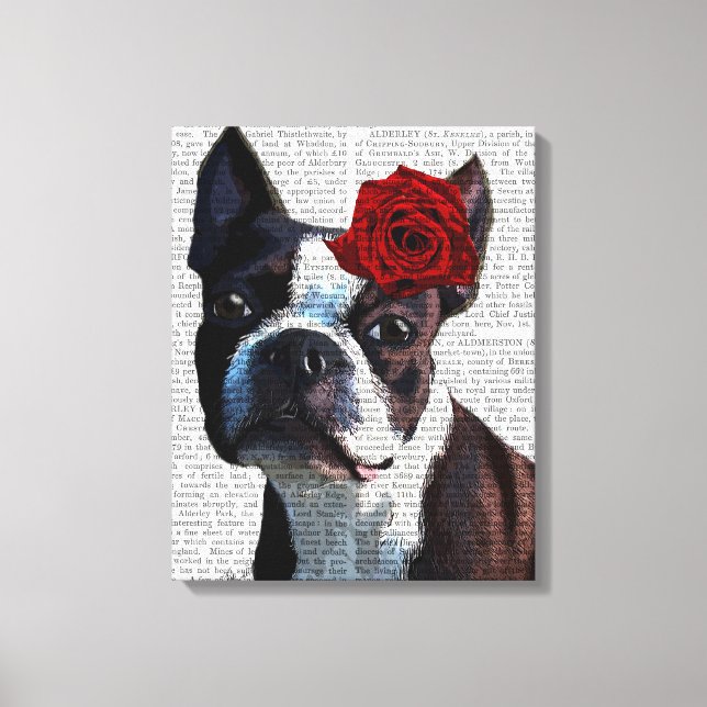 Boston Terrier med Ro på Head Canvastryck (Framsida)