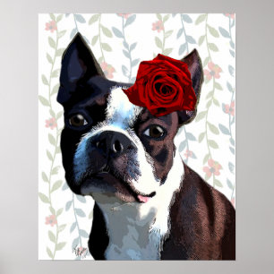 Boston Terrier med Ro på Head Poster