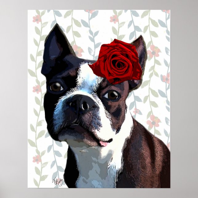 Boston Terrier med Ro på Head Poster (Framsidan)