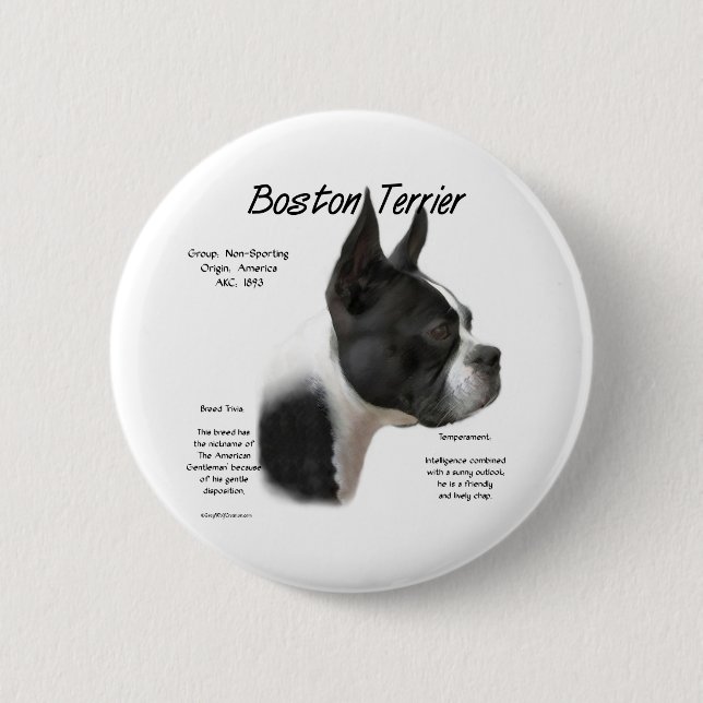Boston Terrier Meet the Breed - Button Knapp (Framsida)