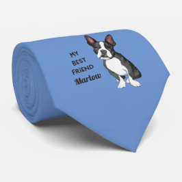 Boston Terrier Mitt bästa vändelsnamn Slips