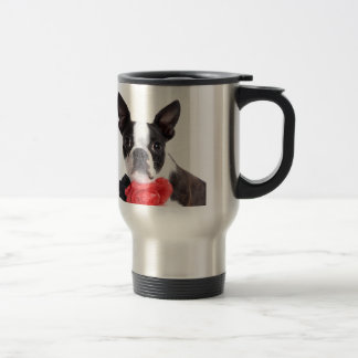 Boston Terrier Mollie Mäusekind Resemugg