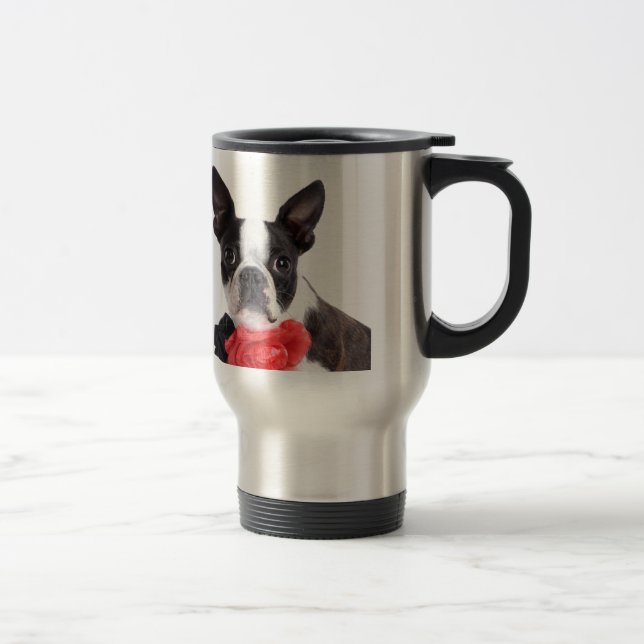 Boston Terrier Mollie Mäusekind Resemugg (Höger)