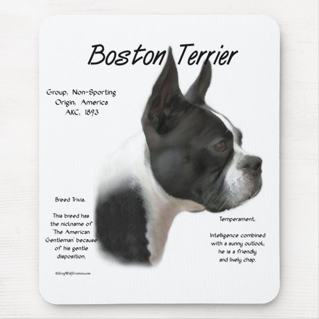 Boston Terrier Möte rasen Musmatta (Framsidan)