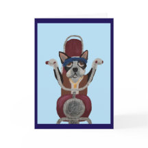 Boston Terrier-motorcyklist på motorcykel