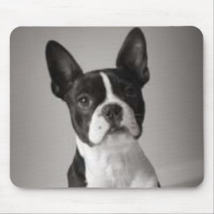 Boston Terrier Mousepad Musmatta